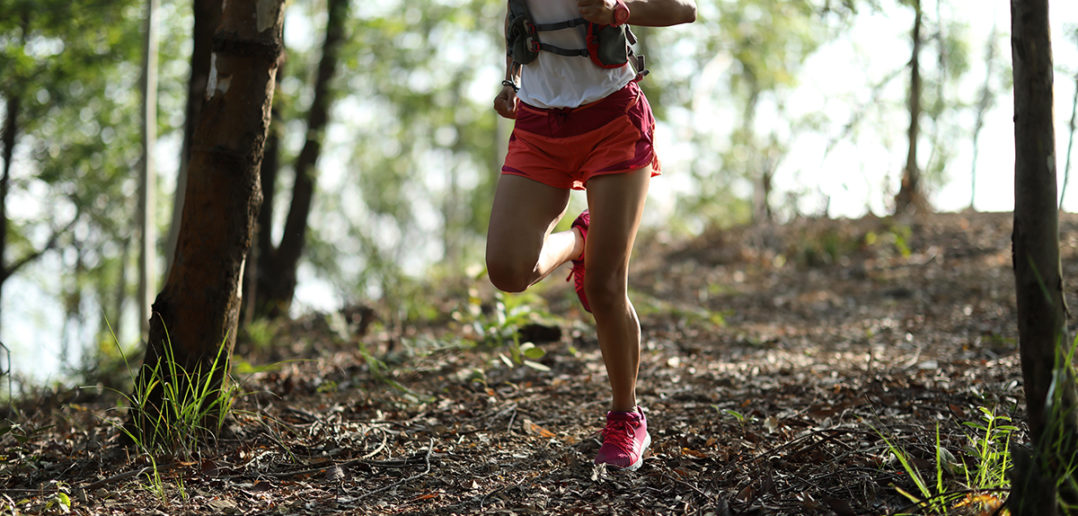 trailrunning: trails, laufen, ausrüstung, technik,tipps, training