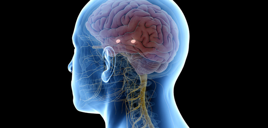 neuronale heilung: ratgeber und tipps