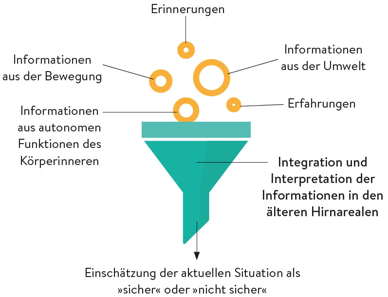 was ist neuronale heilung: infografik