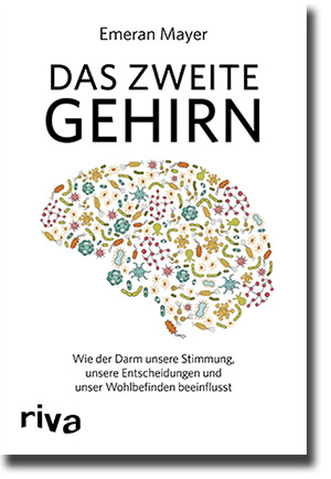 der einfluss vom darm auf stimmung, gehirn und gesundheit