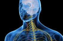 Vagusnerv Stimulation für ein gesundes Immunsystem, weniger Stress und gegen innere Unruhe