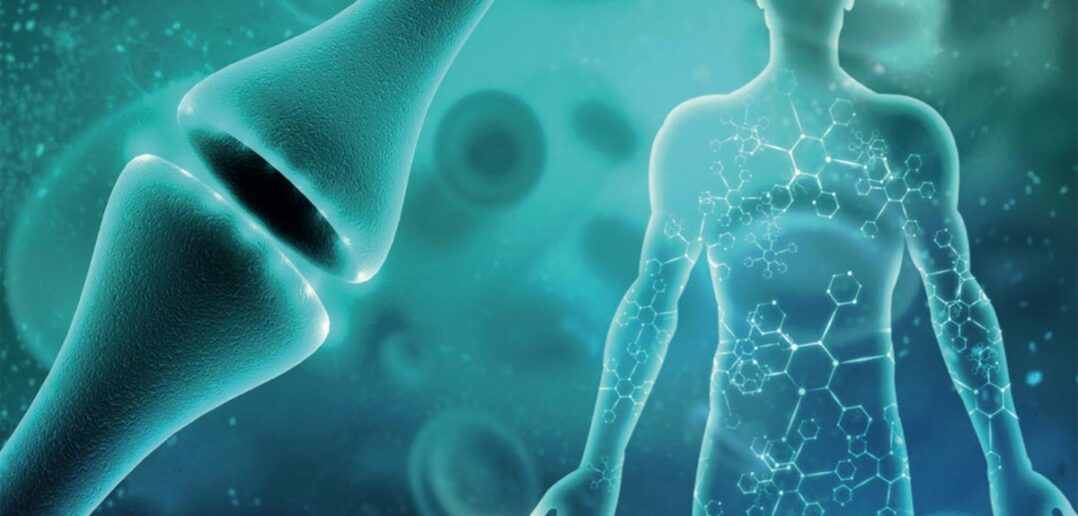 Neurotransmitter: Übersicht, Wirkung, Test, Regeneration, Ratgeber