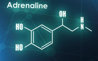 Neurotransmitter Adrenalin