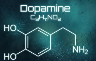 Neurotransmitter Dopamin