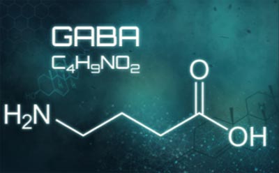 Neurotransmitter GABA