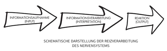 Übungen und Tests für Personal Trainer