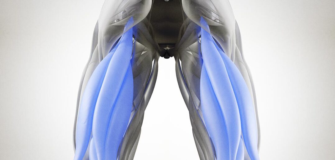 was tun bei Verletzungen der Oberschenkelrückseite? Ratgeber, Tipps, Übungen