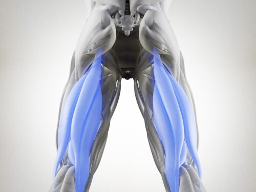 was tun bei Verletzungen der Oberschenkelrückseite? Ratgeber, Tipps, Übungen