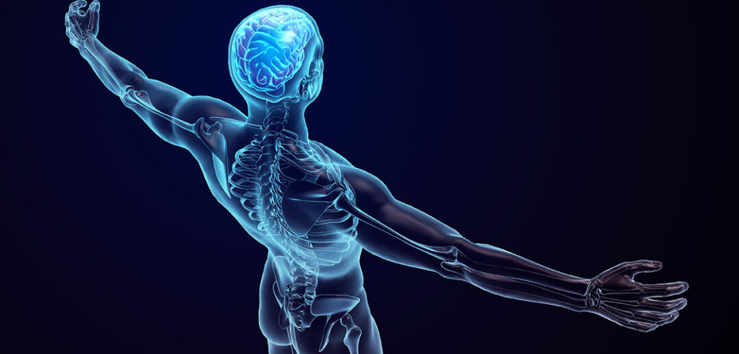 Dies Neuroathletikübungen helfen bei Schmerzen