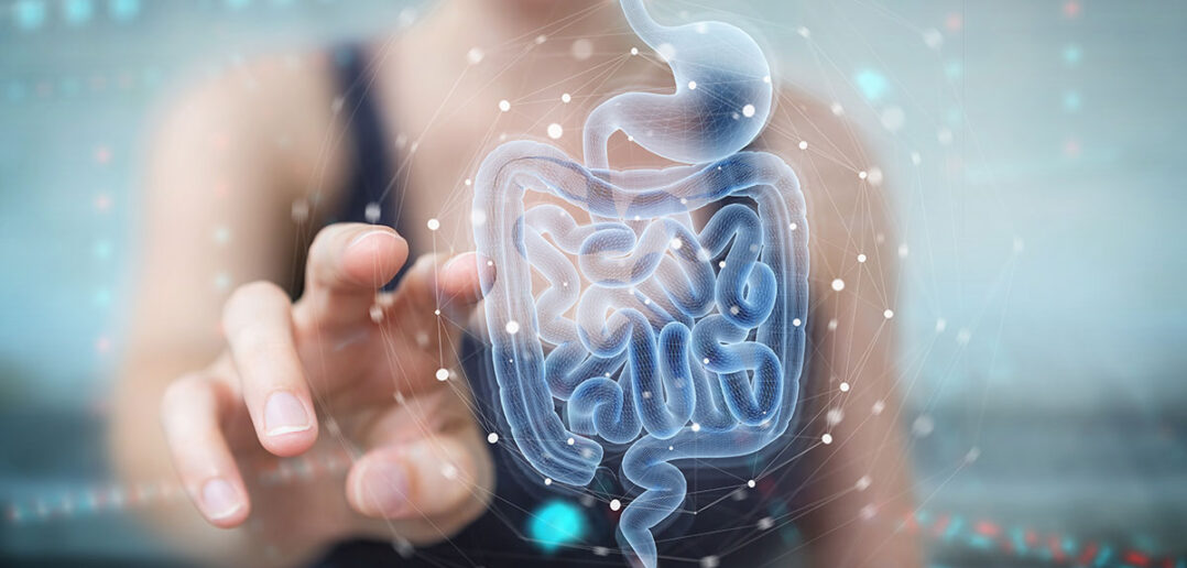 Muskeldoping aus dem Darm - so beeinflusst der Darm die Muskelleistung