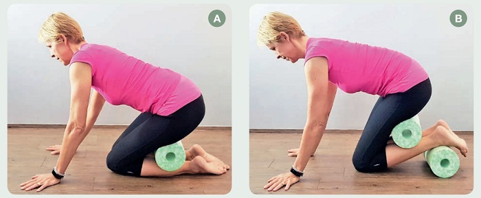 Die Wadenmuskulatur: Erfahre alles über Anatomie, Funktion und typische Problematiken, sowie die besten Übungen für das Training der Waden.