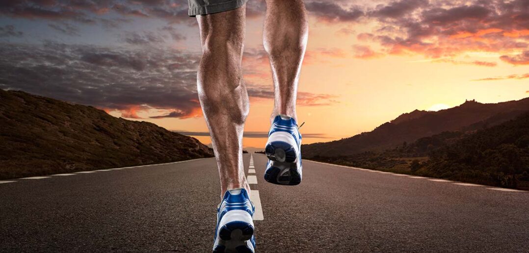 Die Wadenmuskulatur – Anatomie, Funktion, Training Ratgeber: aufbau und anatomie der wadenmuskeln