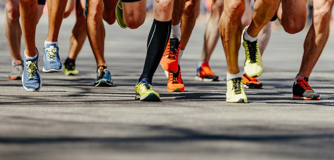 aufbau und anatomie der schienbeinmuskulatur