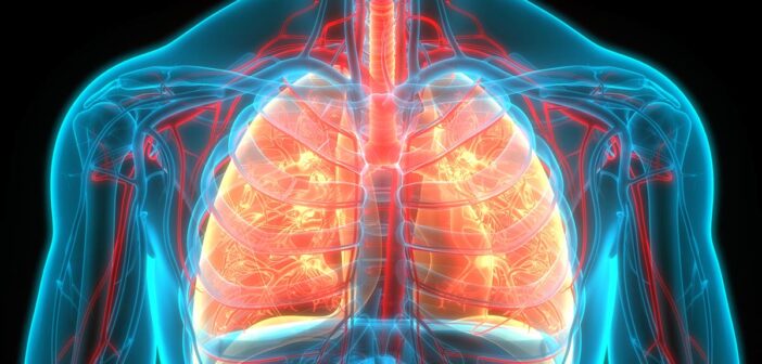 wie findet der gasaustausch in der lunge statt? ratgeber vom sportexperten