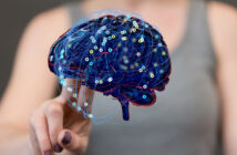wobei hilft neurozentriertes training?
