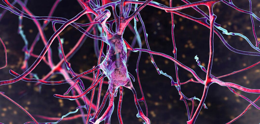 Das Nervensystem trainieren - der medizinische Blickwinkel