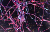 Das Nervensystem trainieren - der medizinische Blickwinkel
