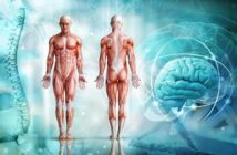 Das Modell der integralen Körperkarte beschreibt die komplexen Zusammenhänge von Emotionen und körperlichen Beschwerden.