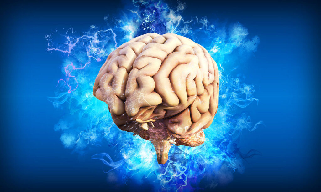 Essstörungen gehen oftmals mit Veränderungen von Gehirnstrukturen einher und können mit neurologische Ansätzen behandelt werden.