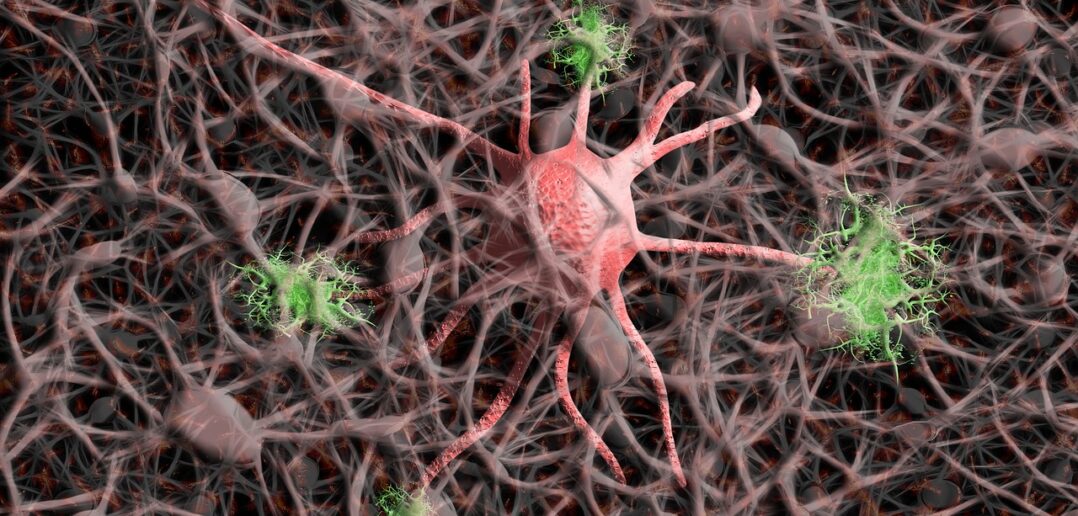 Triggerpunkte - So nutzt du sie um dein Nervensystem zu beruhigen und den negativen Folgen von Stress entgegenzuwirken.