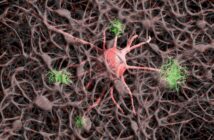 Triggerpunkte - So nutzt du sie um dein Nervensystem zu beruhigen und den negativen Folgen von Stress entgegenzuwirken.