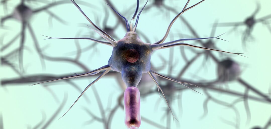 Das Vegetativum direkt zu beeinflussen ist nicht möglich. Allerdings gibt es einige Tricks um die richtige Balance zu schaffen.