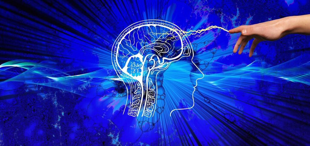 Neurofitness hilft, gelassener und konzentrierter durchs Leben zu gehen. Alles über die wissenschaftlichen Hintergründe der Trainingsmethode.