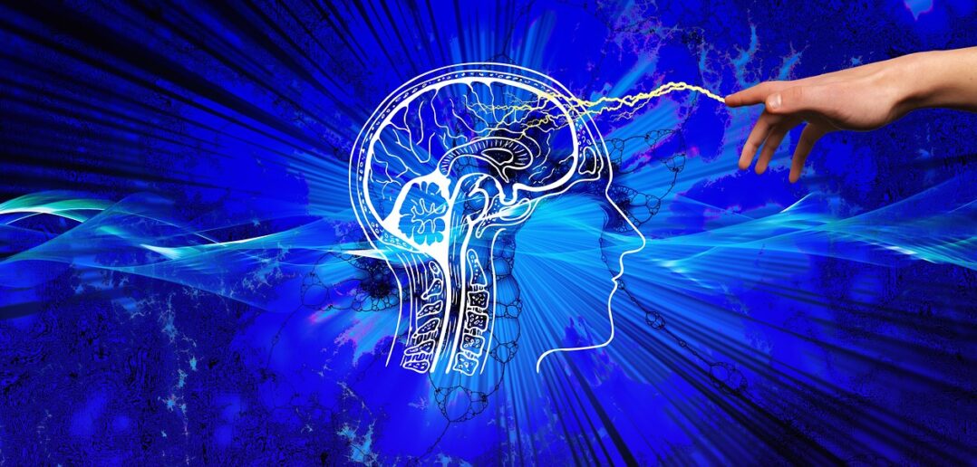 Neurofitness hilft, gelassener und konzentrierter durchs Leben zu gehen. Alles über die wissenschaftlichen Hintergründe der Trainingsmethode.