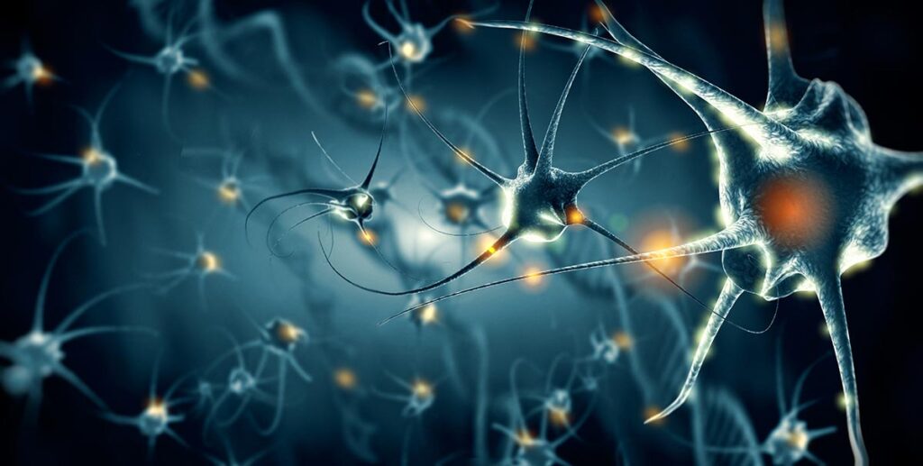 Neurotransmitter sind der Schlüssel für mentale und körperliche Leistungsfähigkeit. Dafür ist es wichtig, Dominanzen und Defizite zu erkennen