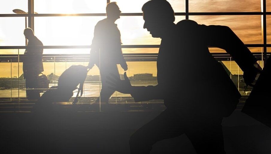 Der Hypothalamus ist der primäre Stressregulator in unserem Gehirn. Wissen wir, wie Stress entsteht, können wir optimal dagegen vorgehen!