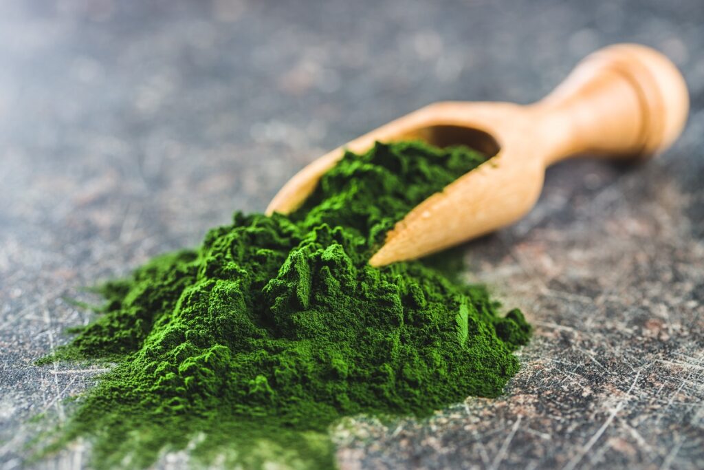 Die Chlorella-Alge ist ein wahres Wundermittel für körperliche und geistige Gesundheit.