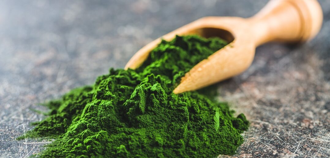 Die Chlorella-Alge ist ein wahres Wundermittel für körperliche und geistige Gesundheit.